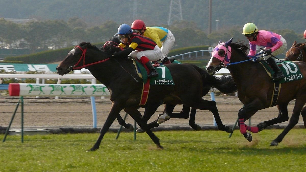 🏇 코쿠라 경마장 (小倉競馬場) 이미지 9